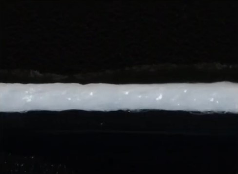 e�t���X�ɑ��t�������Ėc�����n�߂�