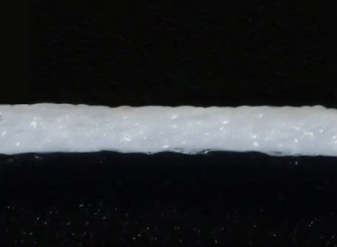 e�t���X�ɑ��t�������Ėc���������